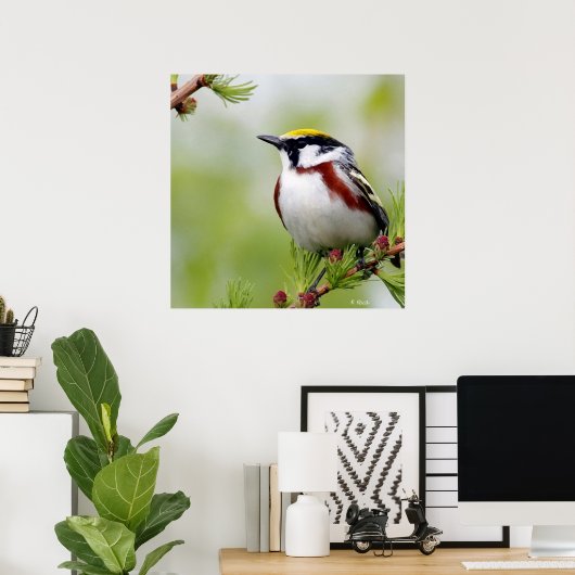 Poster Jaune d'oiseaux (Bureau à domicile)