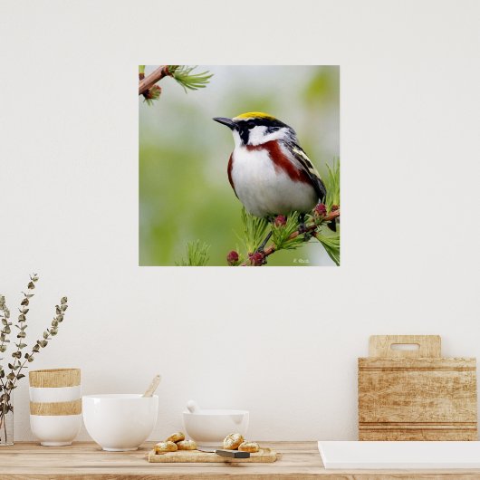 Poster Jaune d'oiseaux (Cuisine)