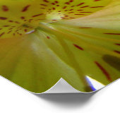 Poster jaune imprimé (Coin)