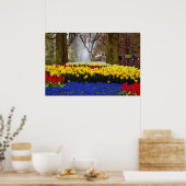 Poster Jaune Keukenhof jardins, Amsterdam, Pays-Bas f (Cuisine)