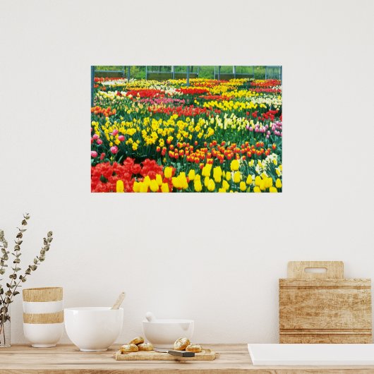 Poster jaune Keukenhof Serres fleurs (Cuisine)