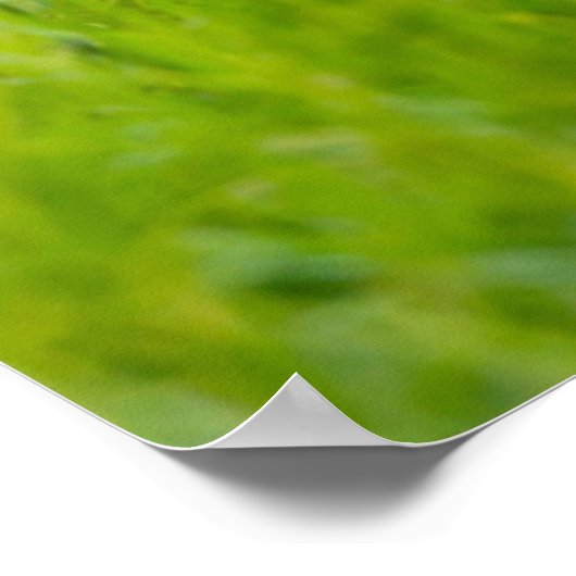 Poster Jaune Labrador Joue Récupérer Avec Bâton (Coin)