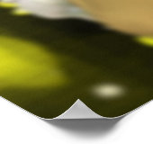 Poster Jaune mellifère (Coin)