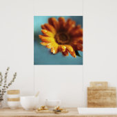 Poster Jaune Orange Marigold Flower Drop Macro (Cuisine)