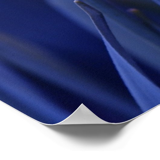 Poster Jaune sur bleu (Coin)