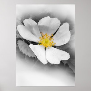 Poster jaune sur des nuances de gris