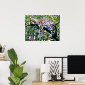 Poster Javan léopard dormir sur une branche d'arbre (Bureau à domicile)