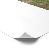 Poster Javelina. (Coin)