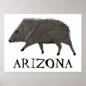 Poster Javelina Desert Animaux ARIZONA Art (Devant)
