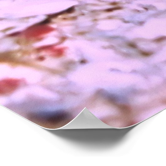 Poster Jawfish (Coin)