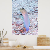 Poster Jawfish à la broche à jaune avec Mouthful (Cuisine)