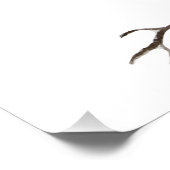 Poster Jay bleu d'oiseau de la forêt (Coin)