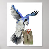 Poster Jay bleu d'oiseau de la forêt (Devant)