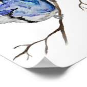 Poster Jay bleu d'oiseau de la forêt (Coin)