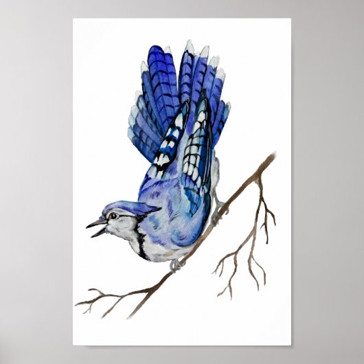 Poster Jay bleu d'oiseau de la forêt (Devant)