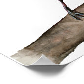 Poster Jay bleu sur la peinture aquarelle à branche (Coin)