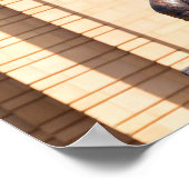 Poster Jayhawk de bronze (Coin)