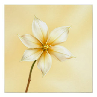 Poster jazmine flower