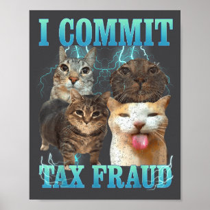Poster Je Commet une Fraude Fiscale Mème de Chat Drôle Gr