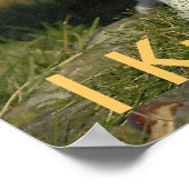 Poster Je Connais Jack ! (Coin)