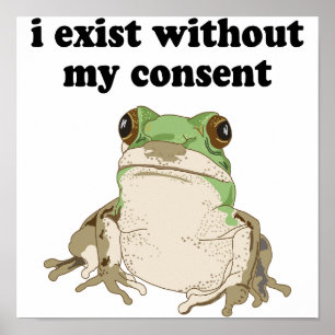 Poster Je existe sans mon consentement Grenouille Mème dr