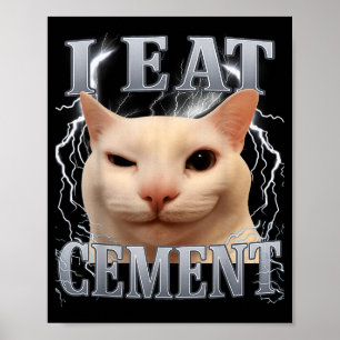 Poster Je mange du ciment Mème de chat idiot Drôle Hommes