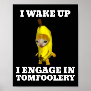 Poster Je Me Réveille Je Me Met À Tomfoolery Chat Meme