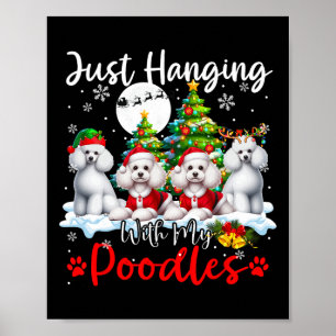 Poster Je me suis accroché avec mes canicules Noël Trois