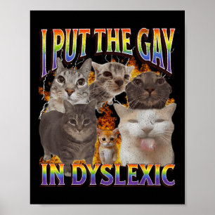 Poster Je mets le gay dans Dyslexique Mème de chat drôle