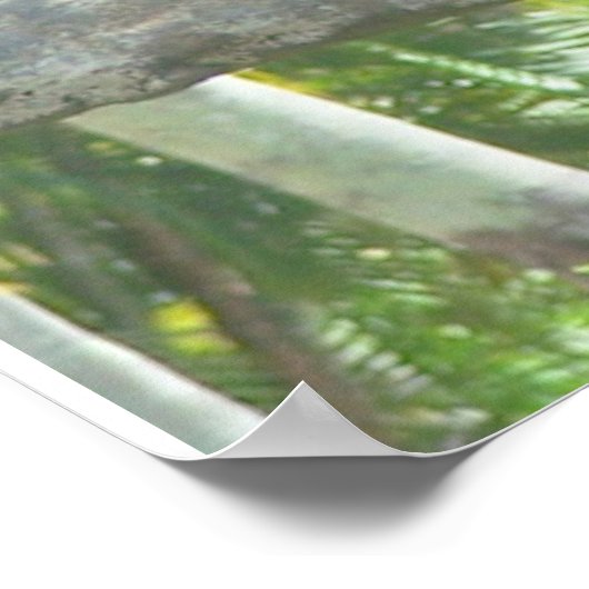 Poster Je ne fais que rester (Coin)