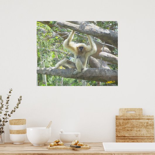 Poster Je ne fais que rester (Cuisine)