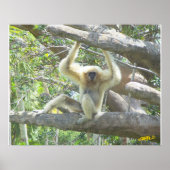 Poster Je ne fais que rester (Devant)