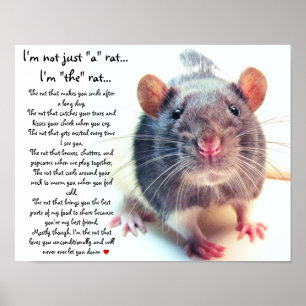 Poster Je ne suis pas juste un rat