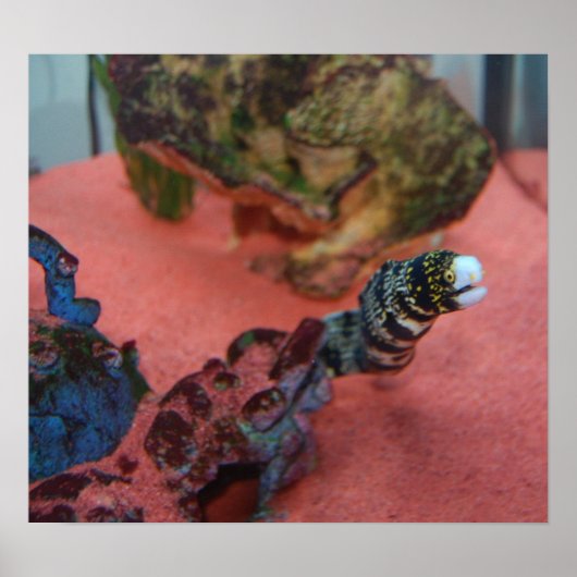 Poster JE NE SUIS PAS mince ! (Devant)