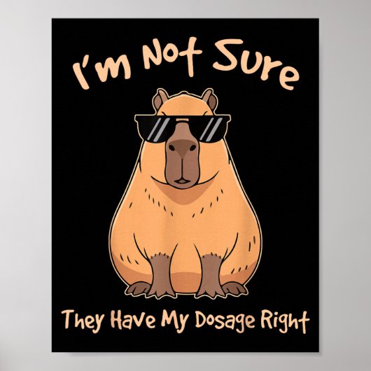 Poster Je ne suis pas sûr du dosage correct Capybara (Devant)