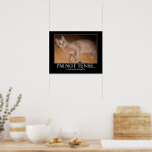 Poster Je ne suis pas un dessin de chat tendu (Cuisine)