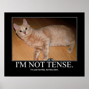 Poster Je ne suis pas un dessin de chat tendu