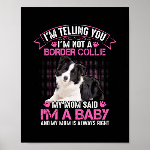 Poster Je ne suis pas une frontière Collie Ma mère dit qu