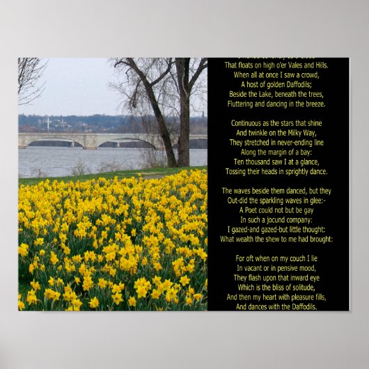 POSTER JE NE VOULAIS QUE COMME UN NUAGE (Devant)