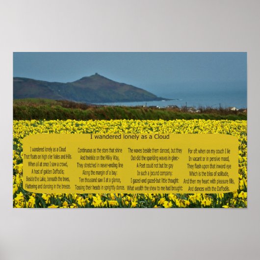 POSTER JE NE VOULAIS QUE COMME UN NUAGE (Devant)