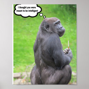 Poster Je pensais que vous étiez censé être intelligent.