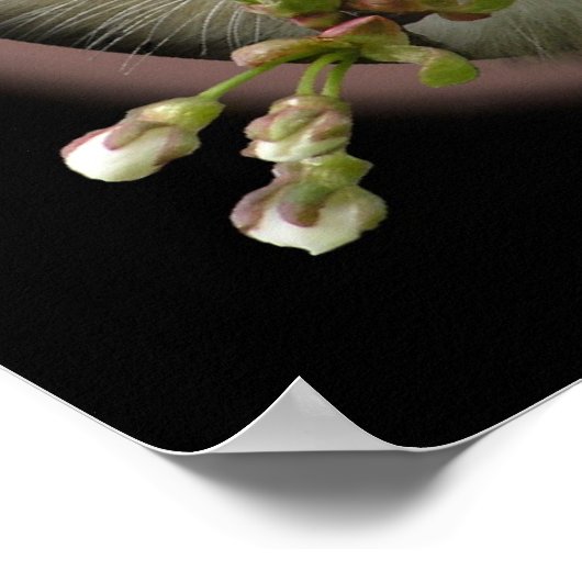 Poster Je pense à toi (Coin)