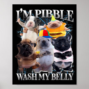Poster Je peux laver mon ventre Drôle de chien nettoie mo