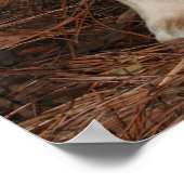 Poster Je préfère chasser (Coin)