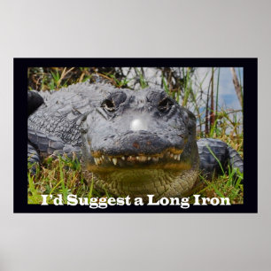 Poster Je proposerais un long fer
