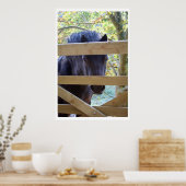 Poster Je regarde. [Imprimer] (Cuisine)