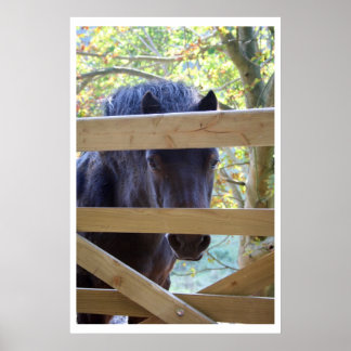 Poster Je regarde. [Imprimer]