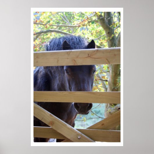 Poster Je regarde. [Imprimer] (Devant)