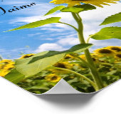 Poster Je Regrette...Pardonne- Moi, Je Taime (Coin)