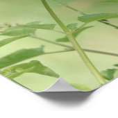 Poster je serai reconnaissant pour ce jour, papillon (Coin)